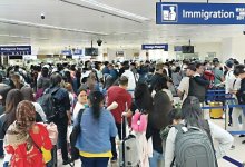 ���ɱ���ȫ�ǵ���4������û�С��������ֻ�д�ƭ�Ӣ�