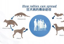 ���ɱ������»������¿�Ȯ������������3��ҽԺ�ṩ�������