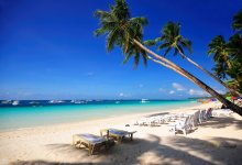 ���ɱ��˵�ƫ������������ʾԼ72%�ķ��ɱ��ˣ������Σ��й���