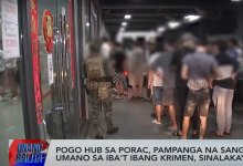 ���ɱ�թƭ԰�������ݵķ������ӿ���׶�����4�����н���Ӱ��